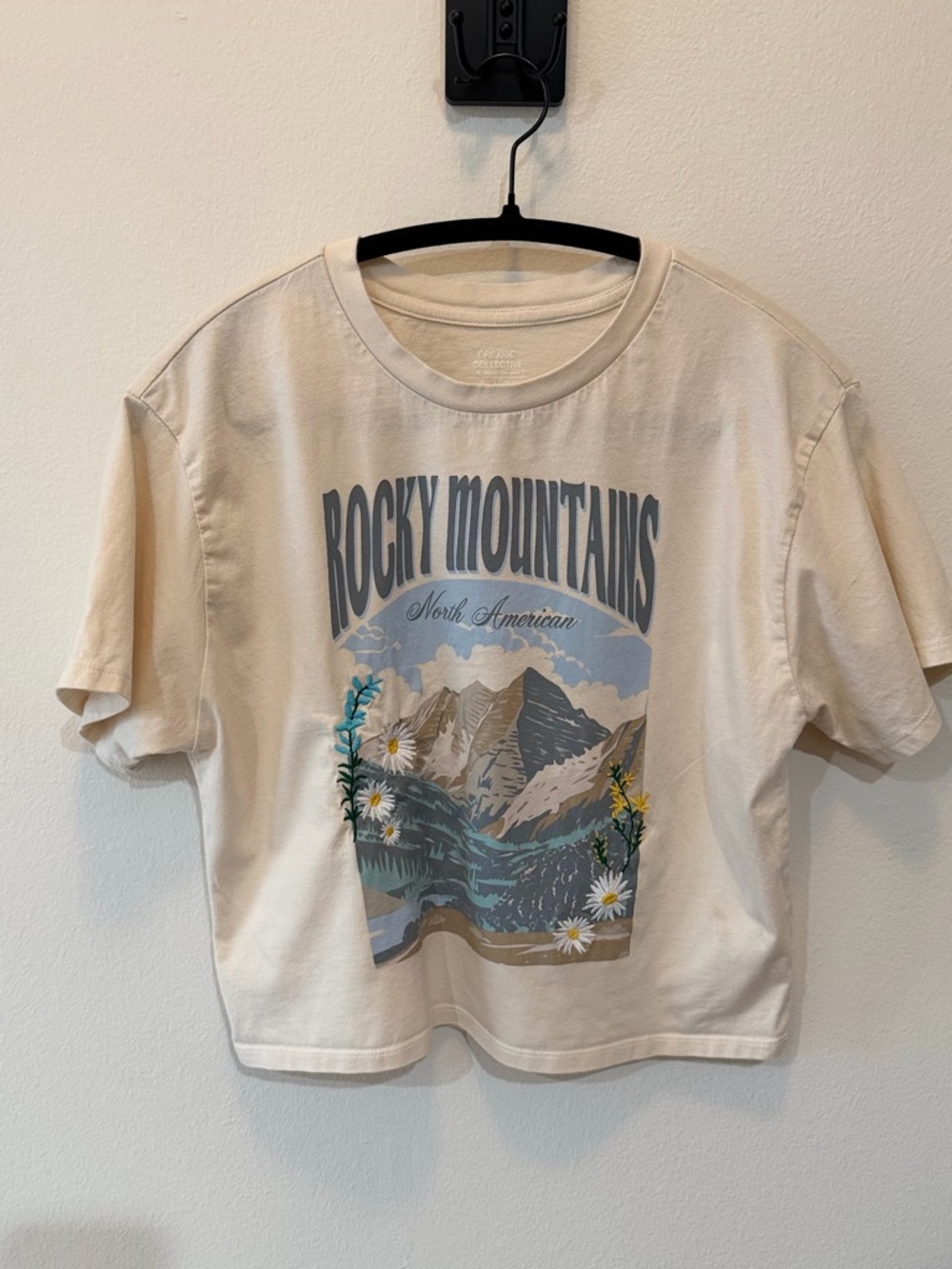 Embroidery Rocky Mountains Graphic Tee in Cream with Blue Print